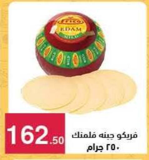 available at محمود الفار in Egypt - القاهرة