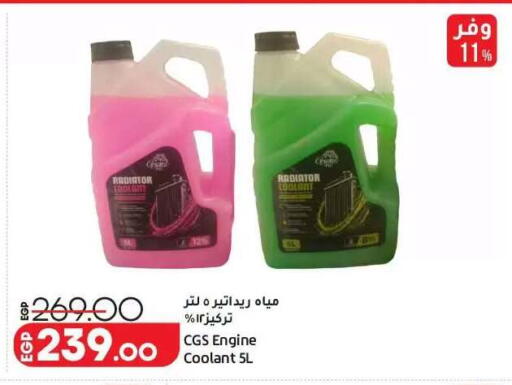 available at لولو هايبرماركت in Egypt - القاهرة