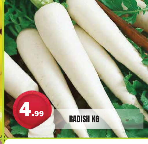 Radish available at سنابل بني ياس in الإمارات العربية المتحدة , الامارات - ٱلْعَيْن‎