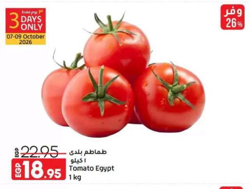 Tomato from Egypt available at Lulu Hypermarket  in Egypt - Cairo