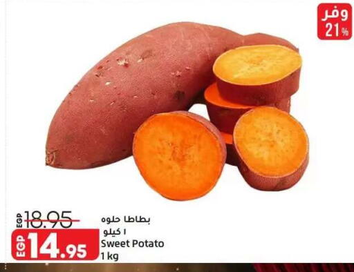 Sweet Potato available at Lulu Hypermarket  in Egypt - Cairo