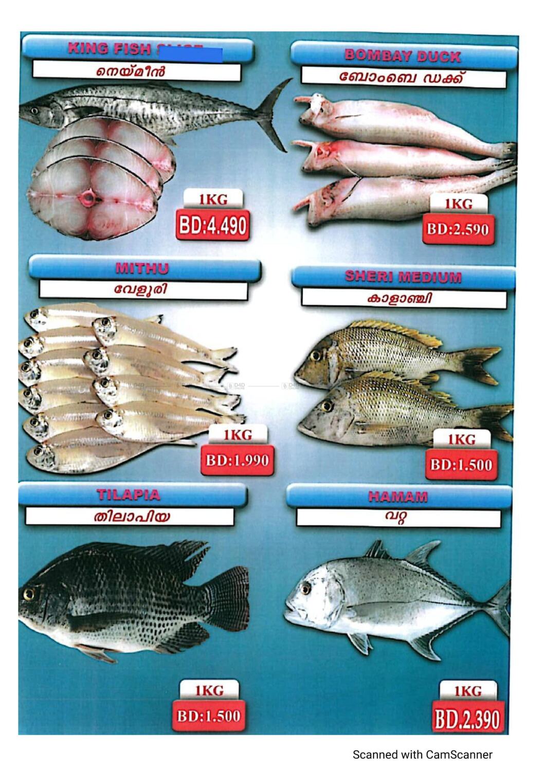 Shada Fish Big Deal in Bahrain. Till 20th July