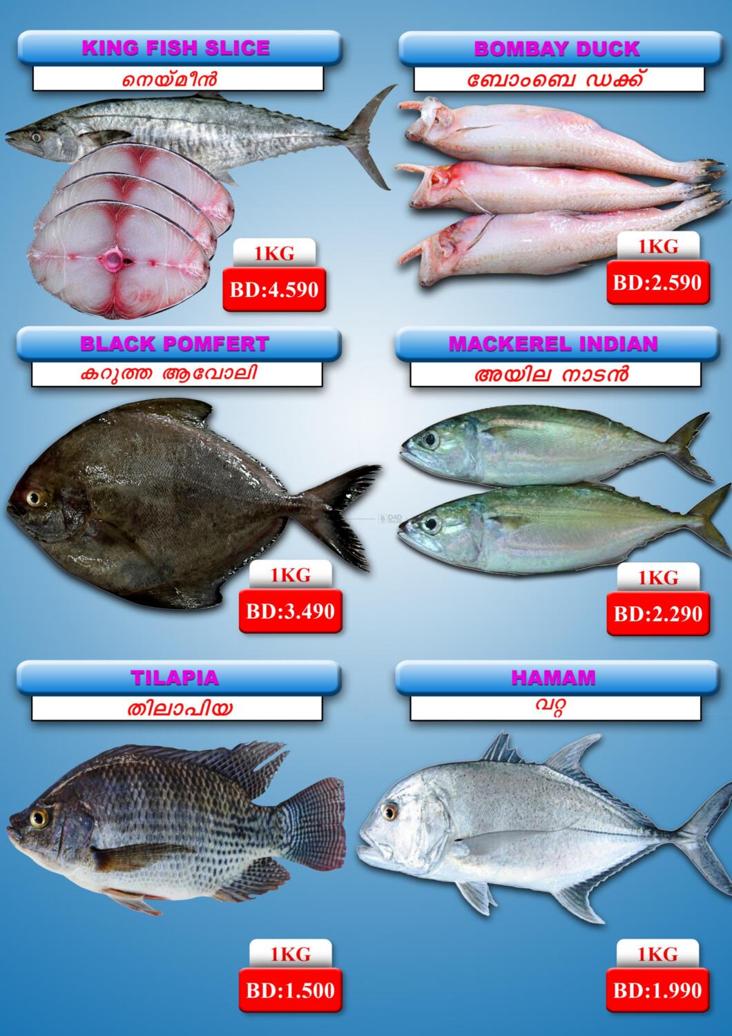 Shada Fish Big Deal in Bahrain. Till 14th July