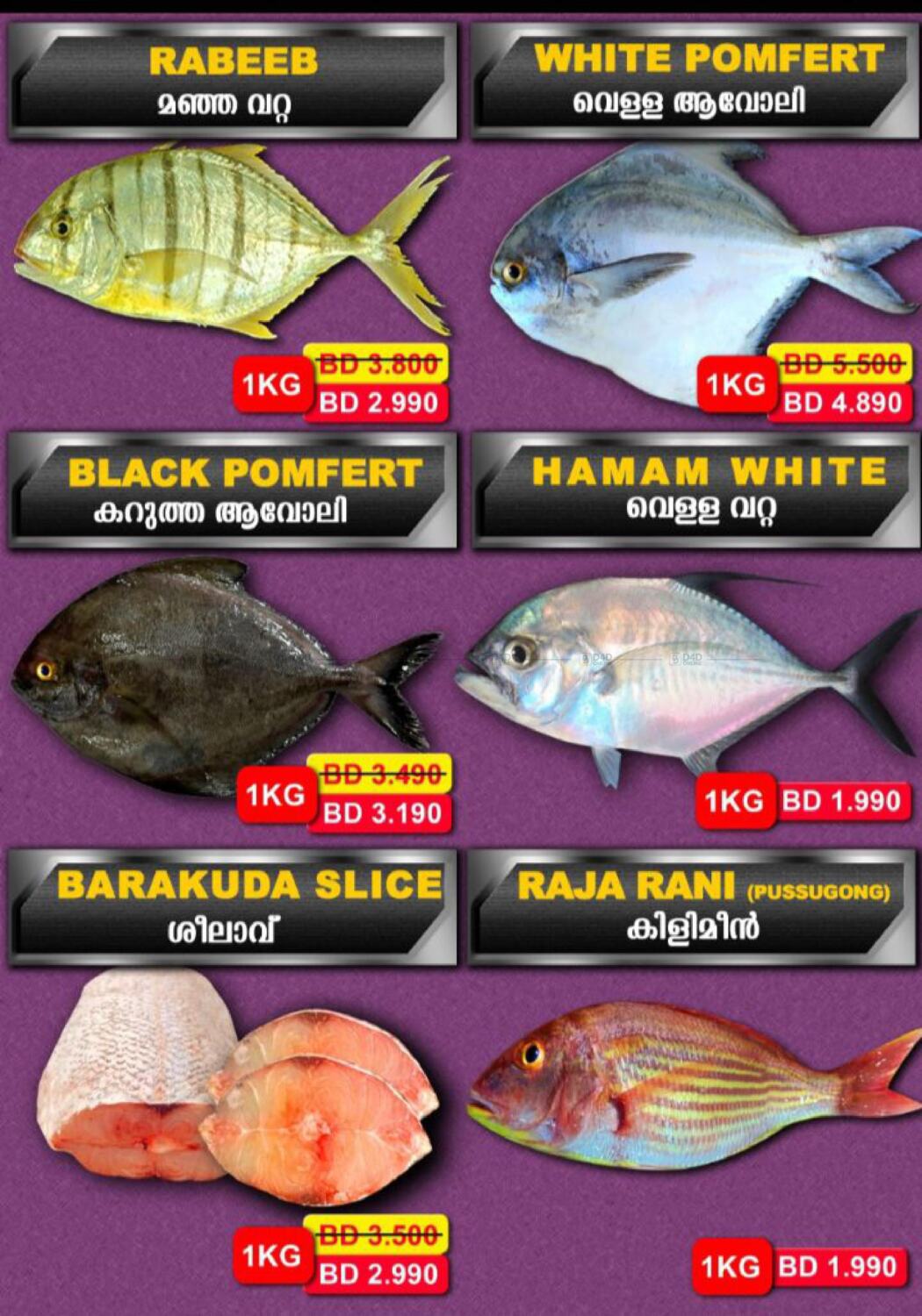 Shada Fish 6 Days Offer in Bahrain. Till 25th August