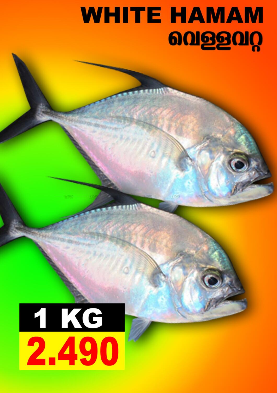 Shada Fish 6 Days Best Deals in Bahrain. Till 5th October