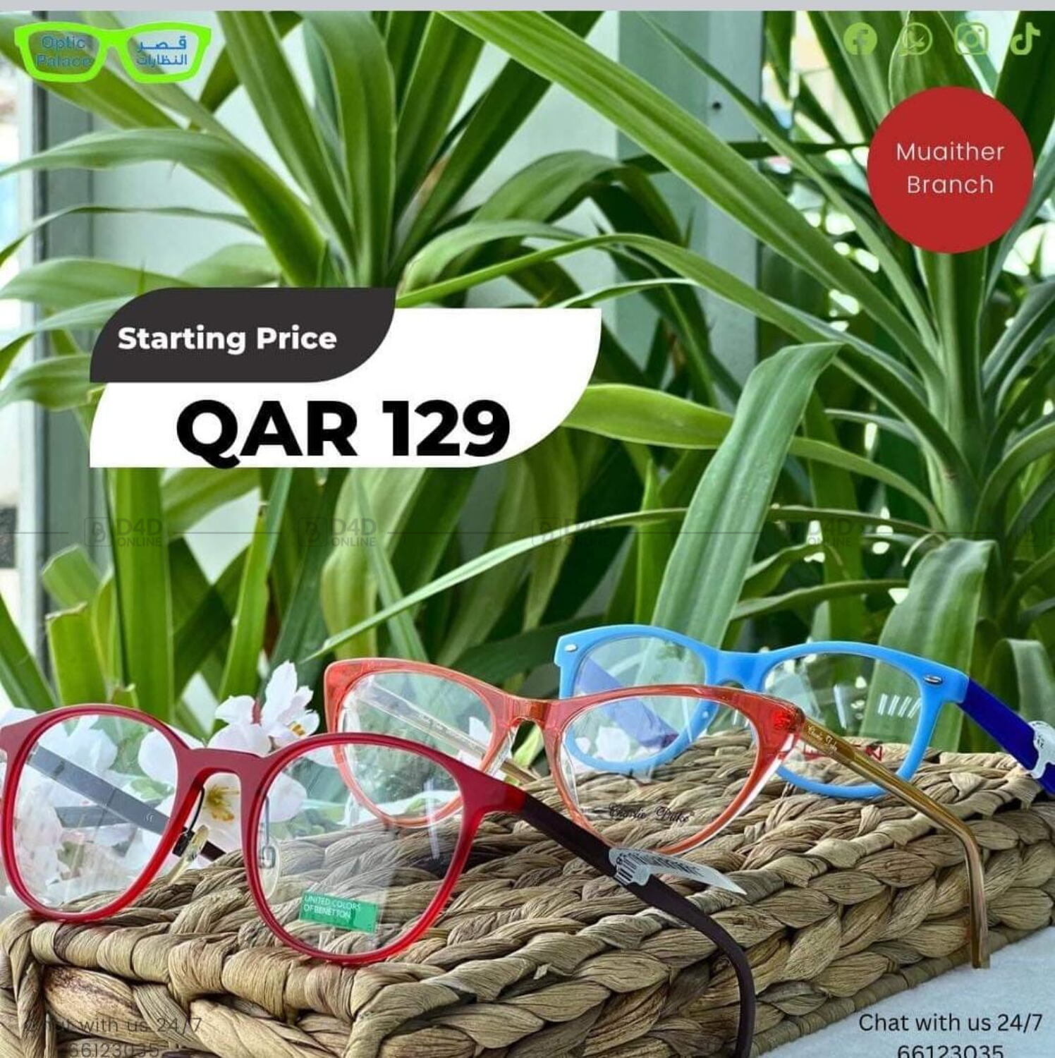Optic Palace Glasses On Budget in Qatar Doha. TIll 9th October