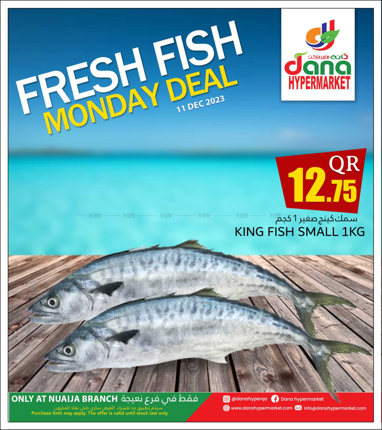 Dana Hypermarket Nuaija Fresh Fish in Qatar Doha. Only on 11th December