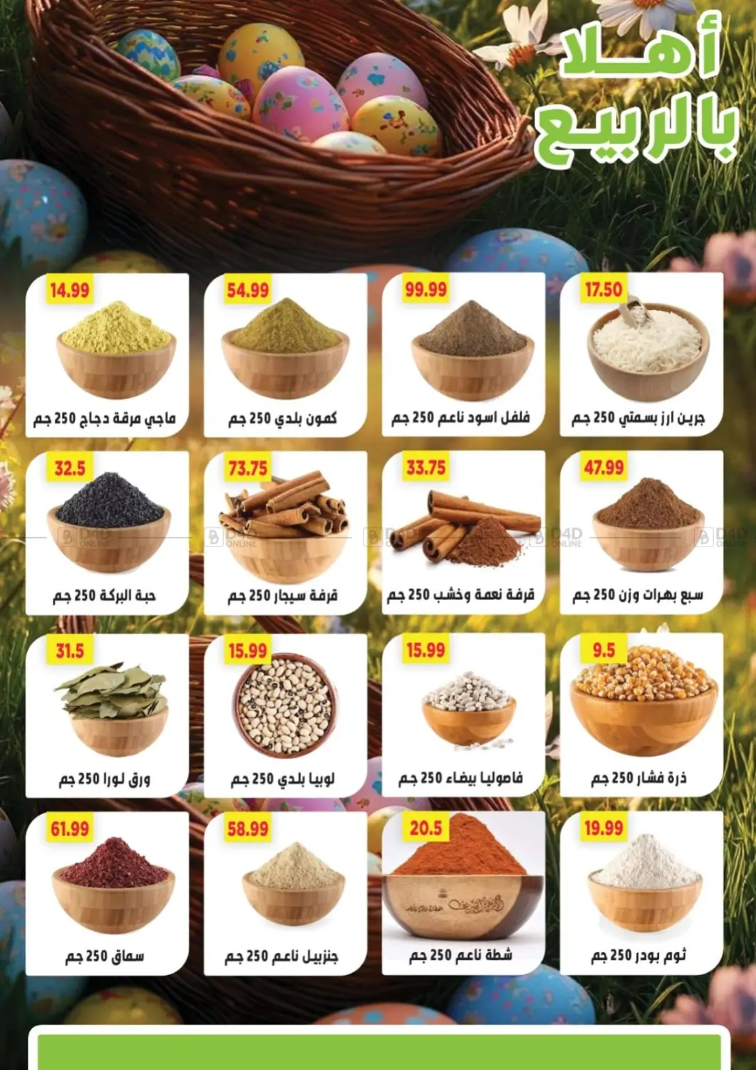 Special Offer in Cairo