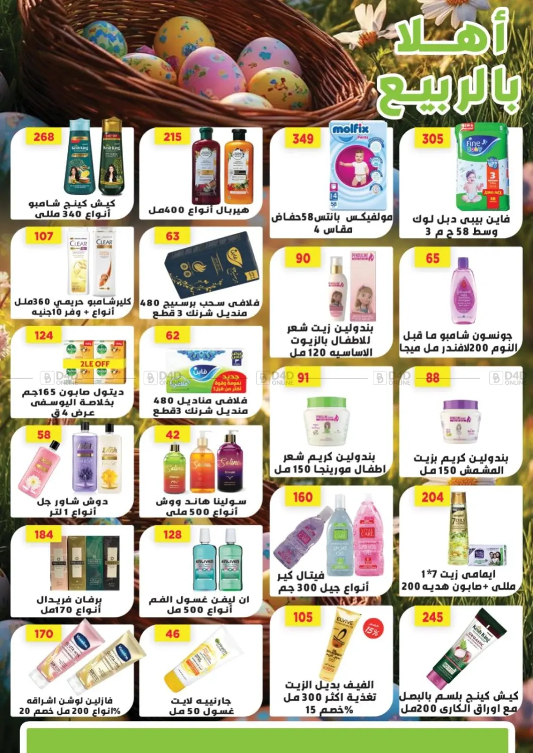 Special Offer in Cairo