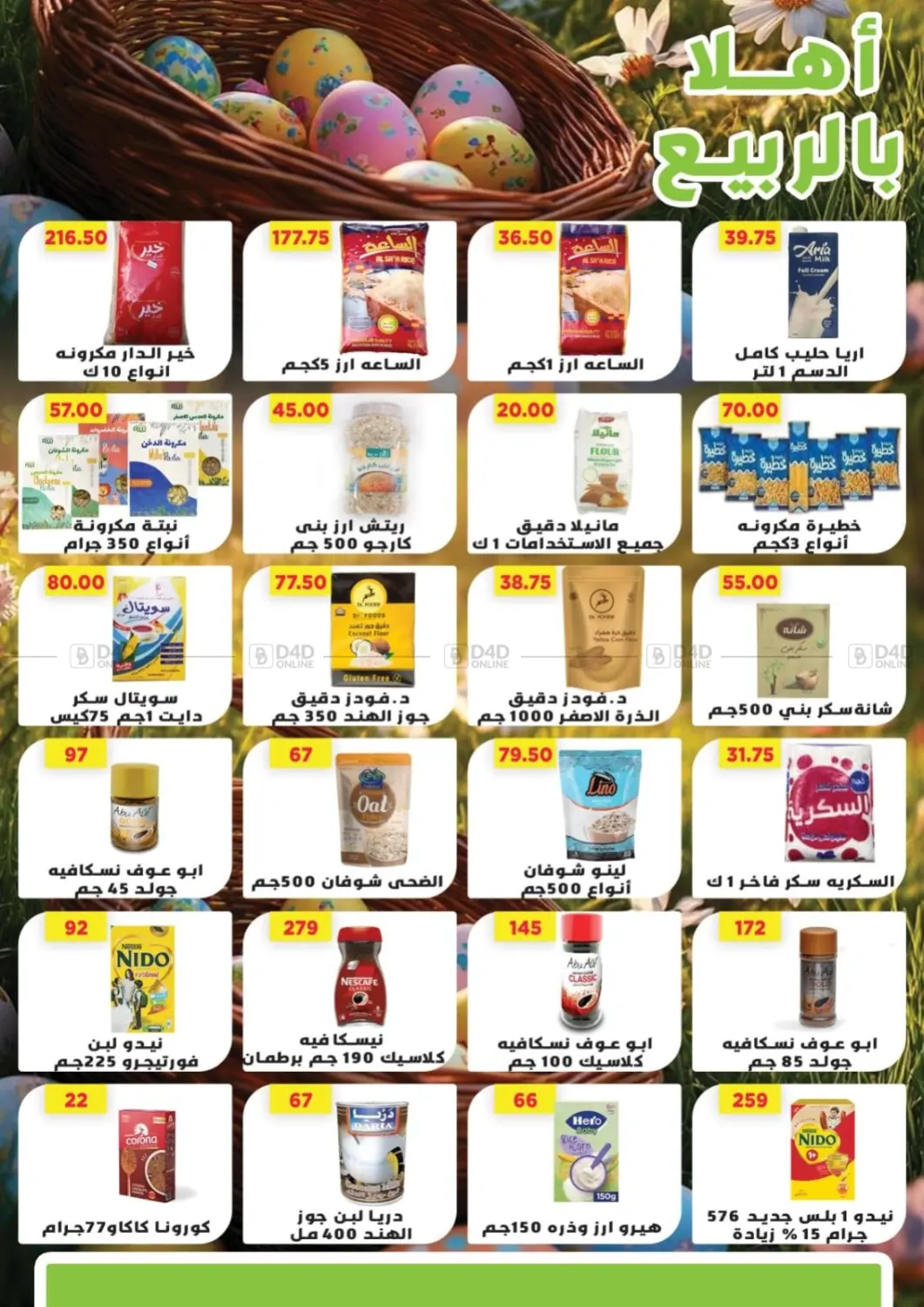 Special Offer in Cairo
