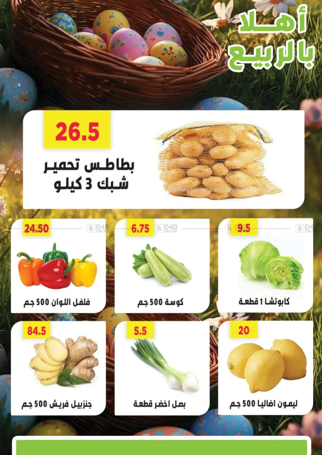 Special Offer in Cairo