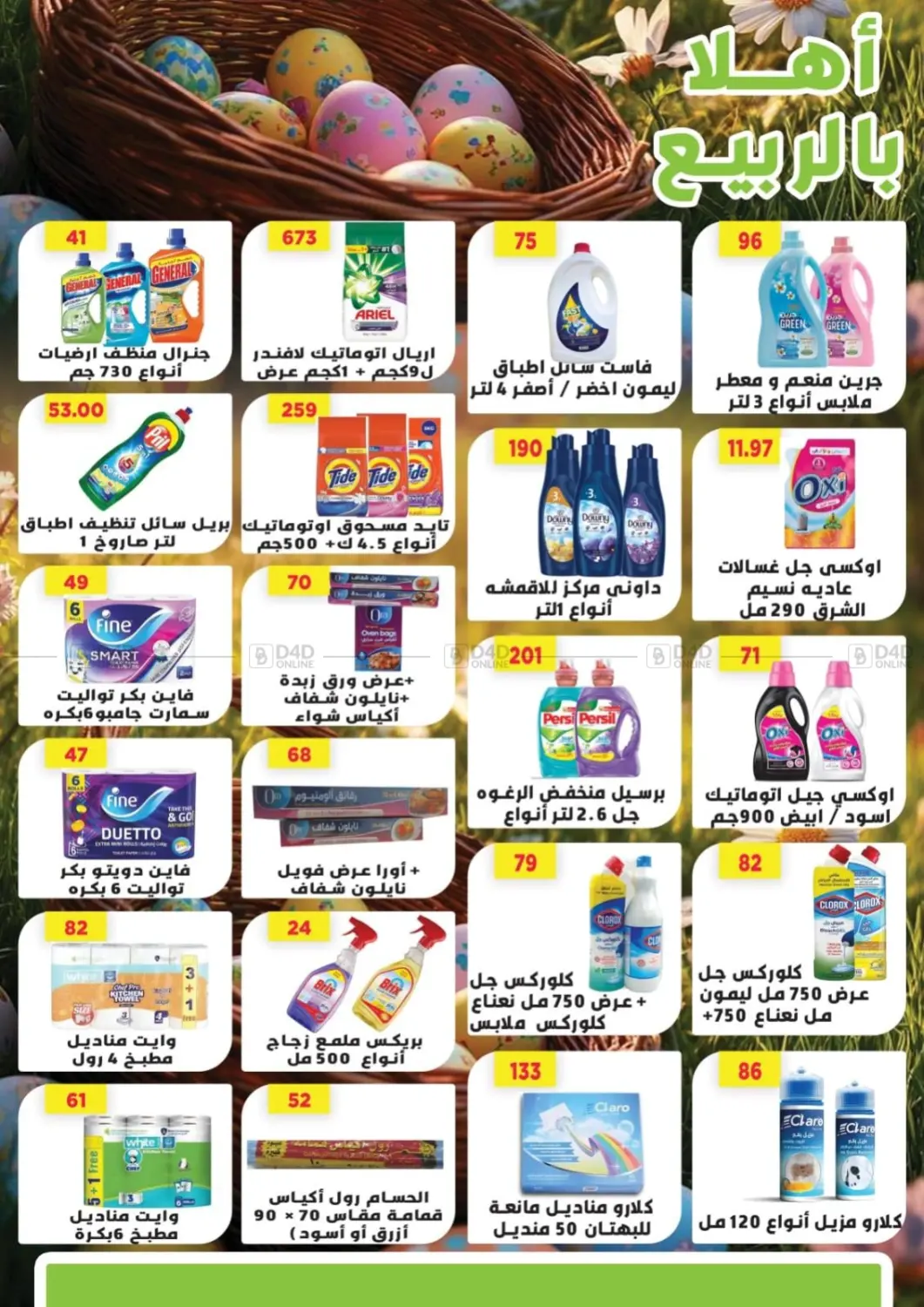 Special Offer in Cairo