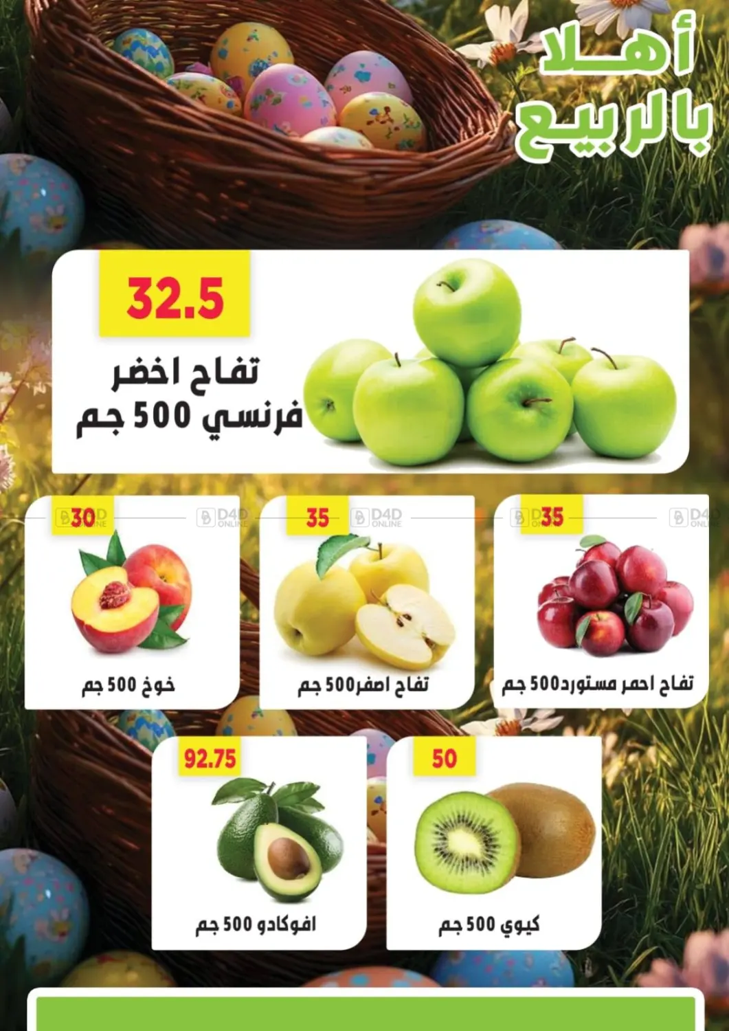 Special Offer in Cairo