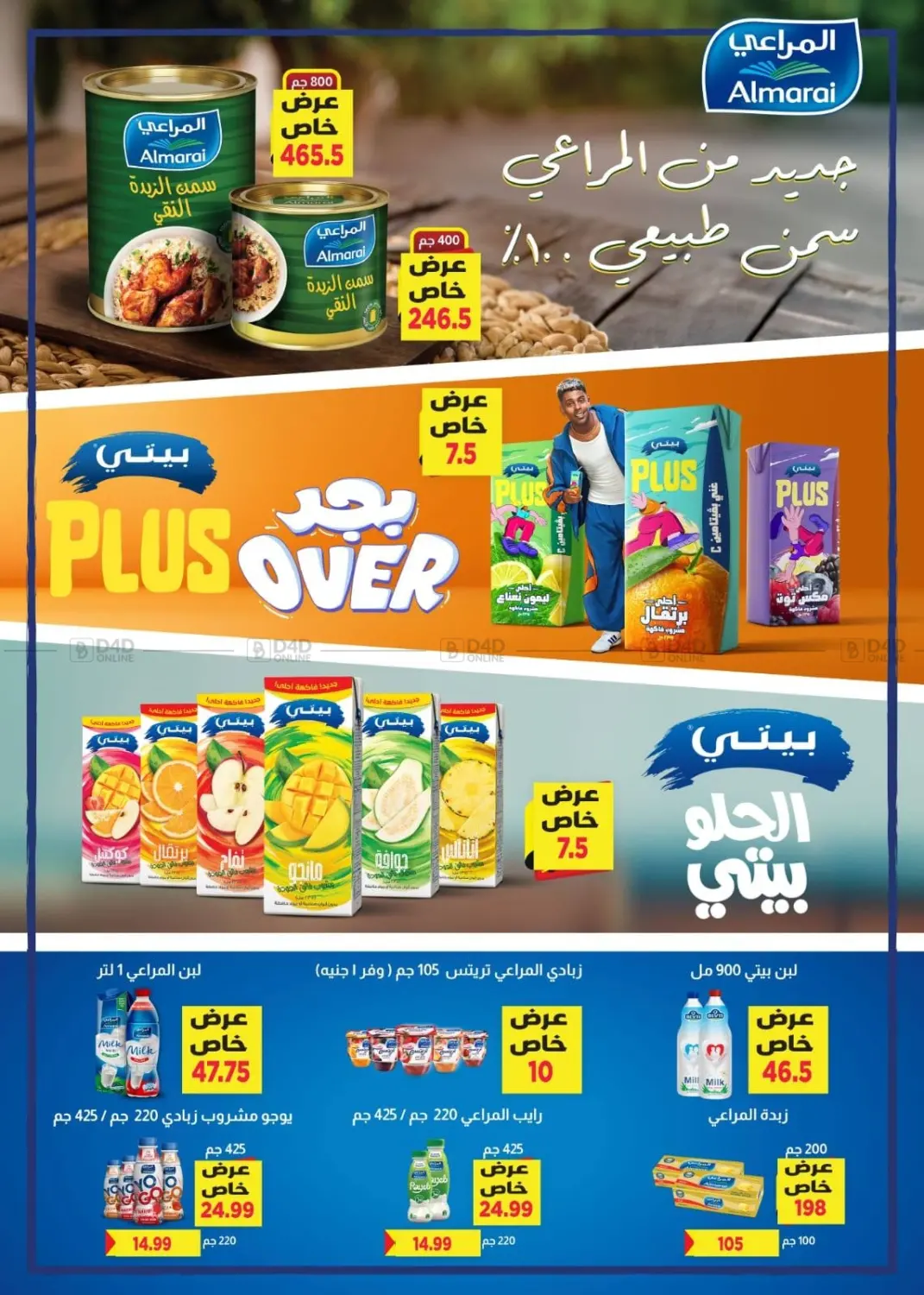 Special Offer in Cairo