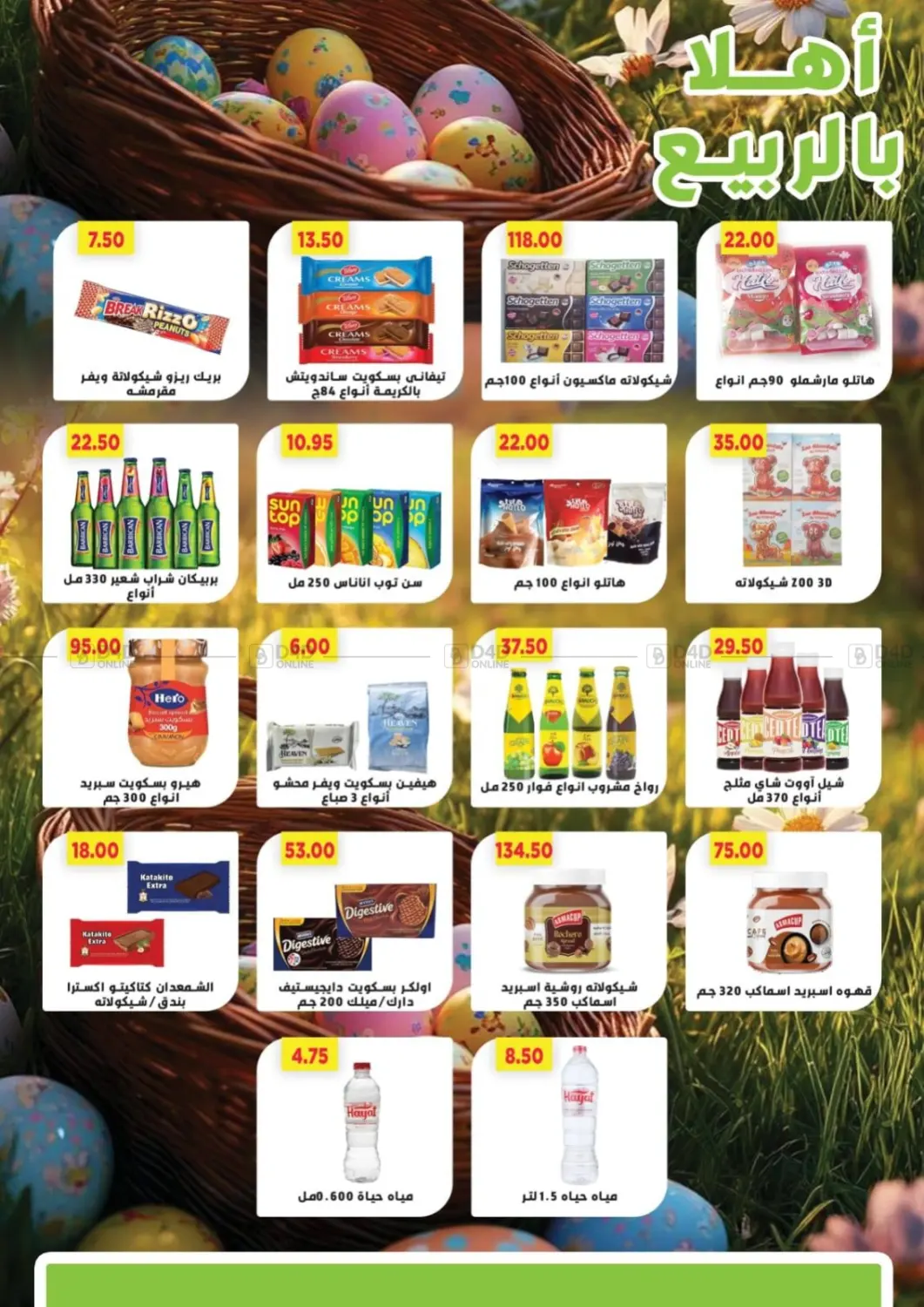 Special Offer in Cairo