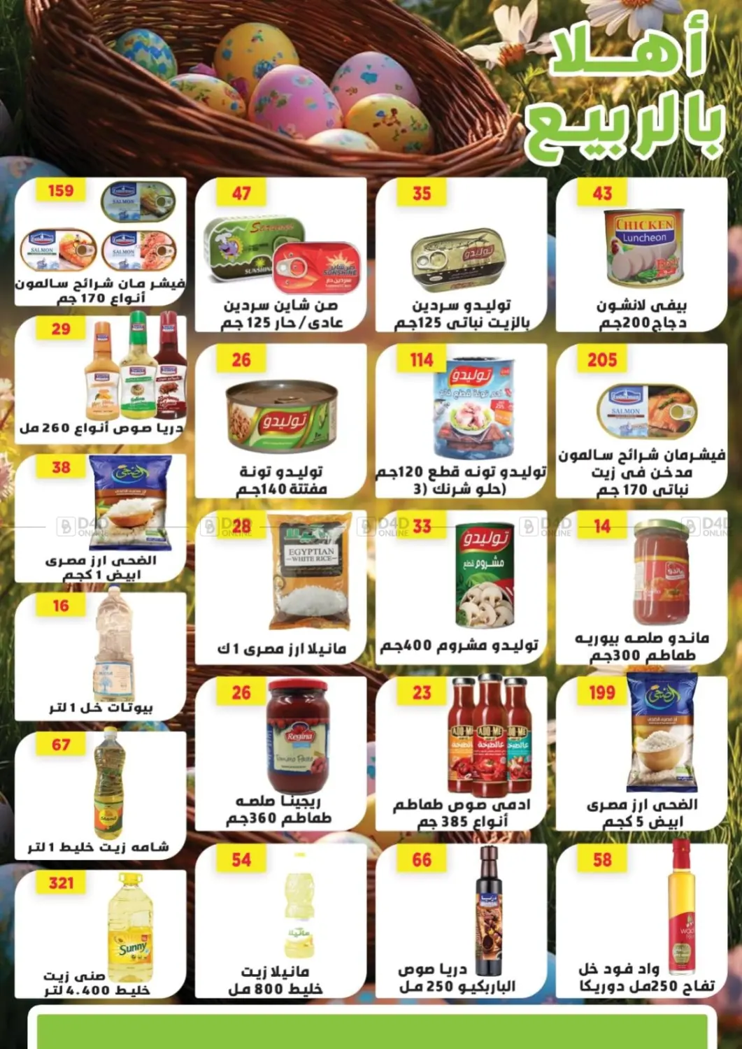 Special Offer in Cairo