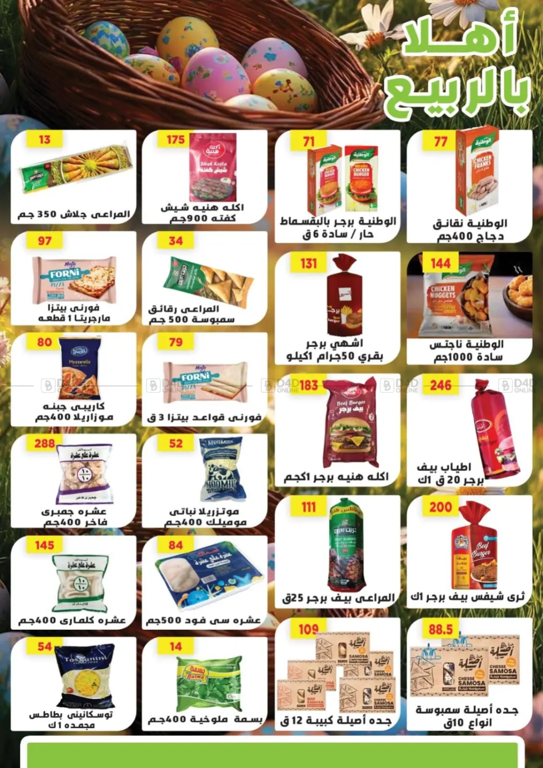 Special Offer in Cairo