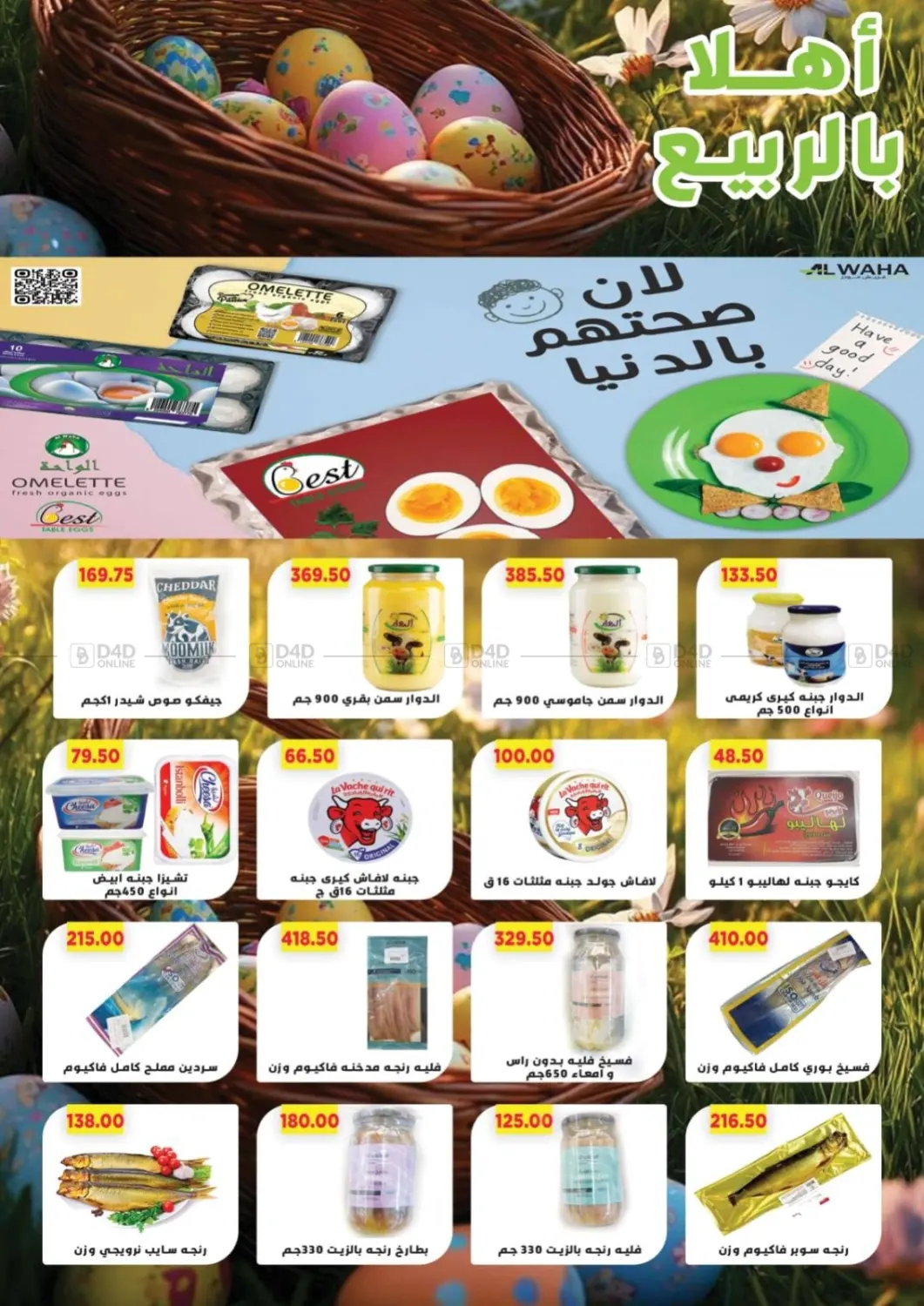 Special Offer in Cairo