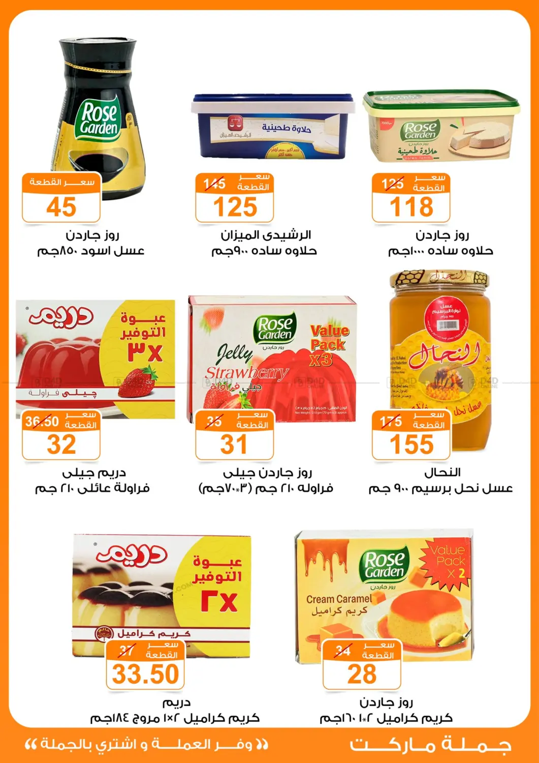 Special Offer in Cairo