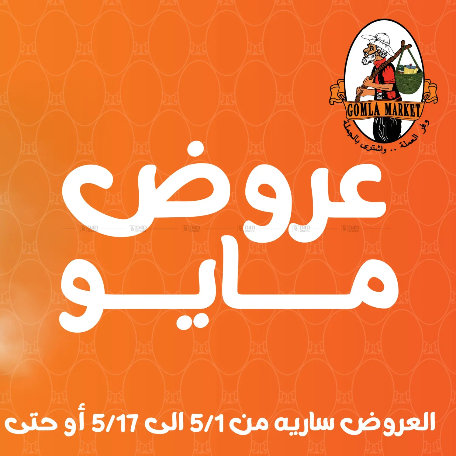 Special Offer in Cairo