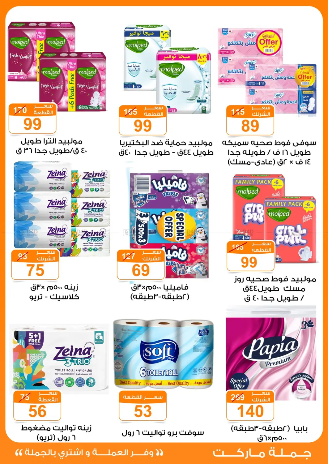 Special Offer in Cairo