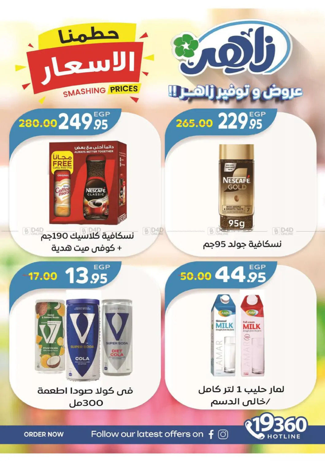 Special Offer in Cairo