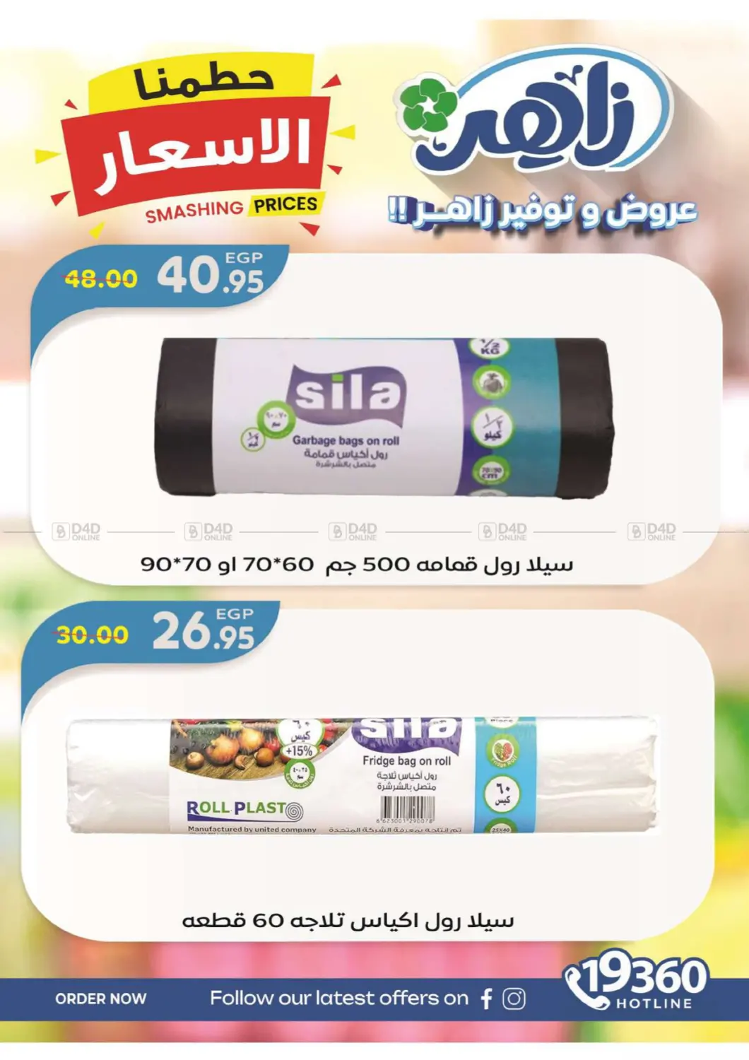 Special Offer in Cairo