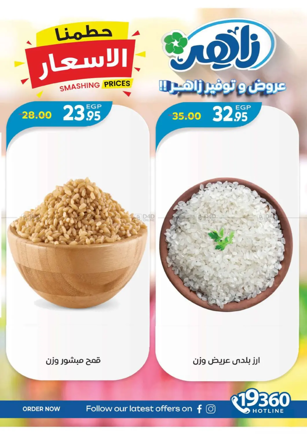 Special Offer in Cairo
