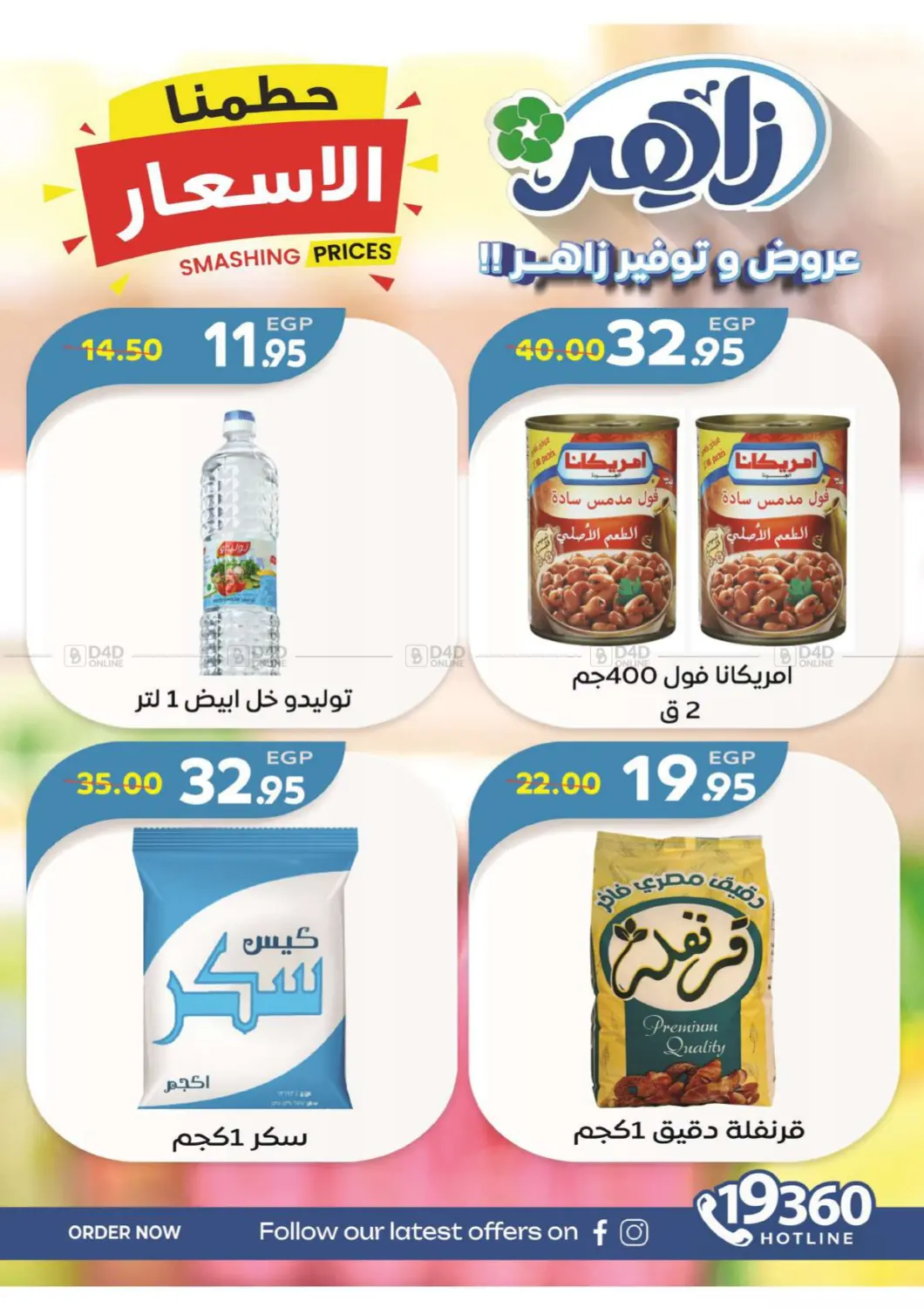 Special Offer in Cairo