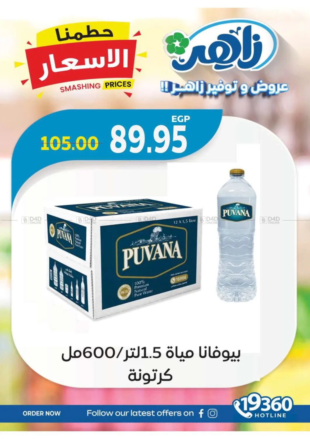 Special Offer in Cairo