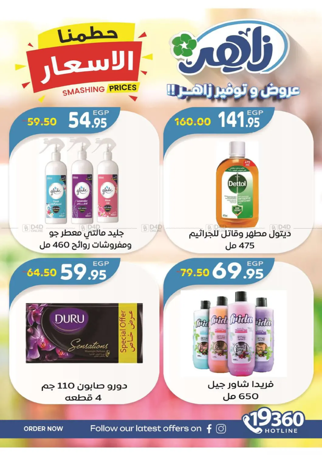 Special Offer in Cairo