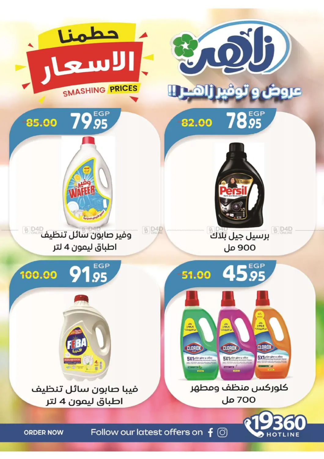 Special Offer in Cairo