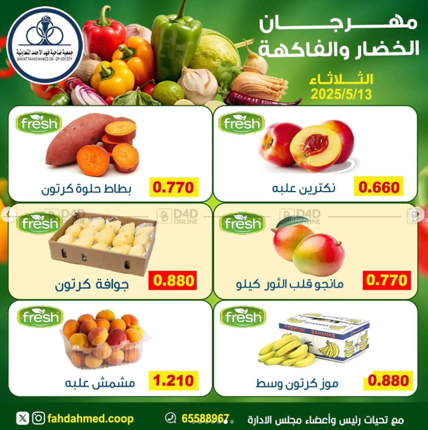 Special Offer in Ahmadi Governorate