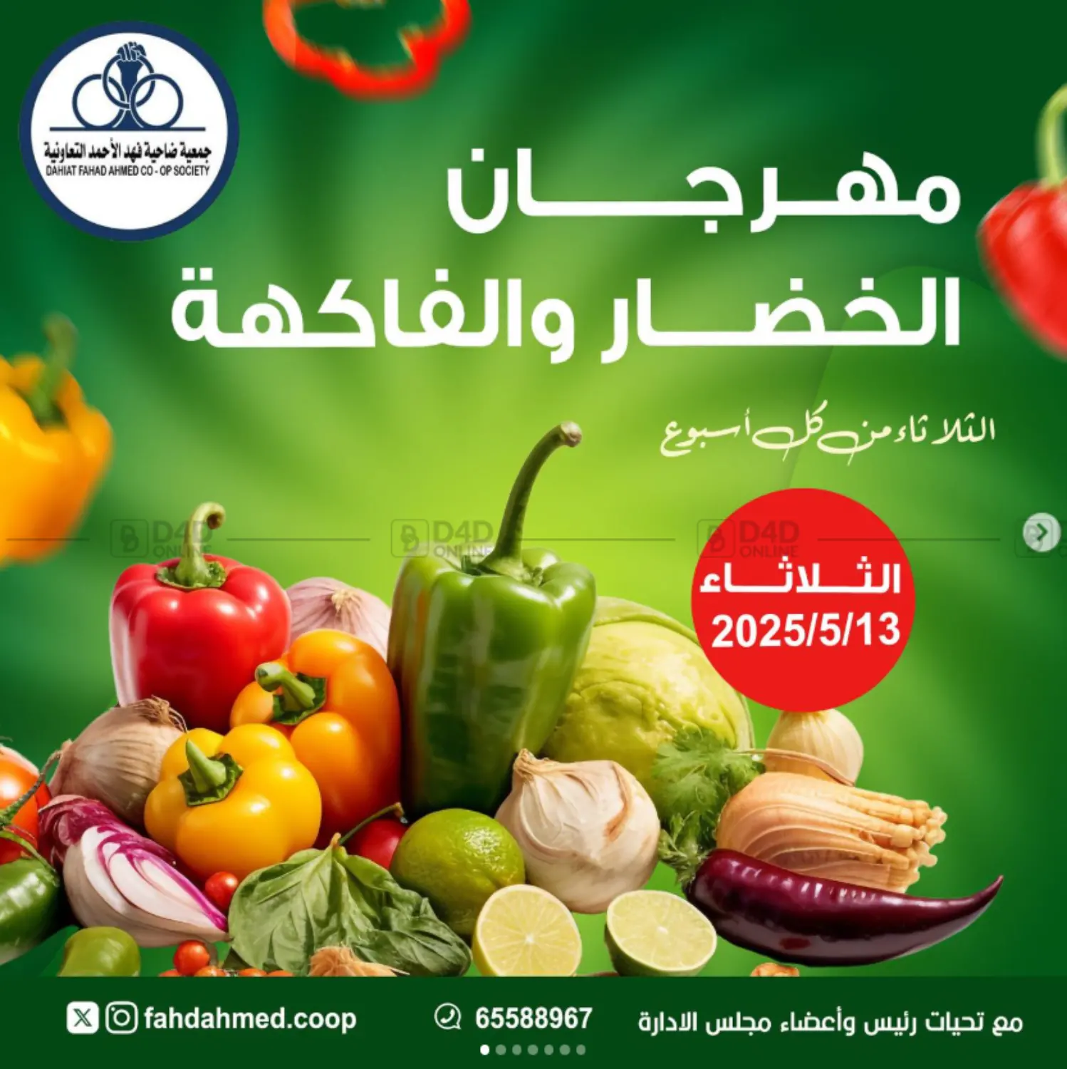 Special Offer in Ahmadi Governorate