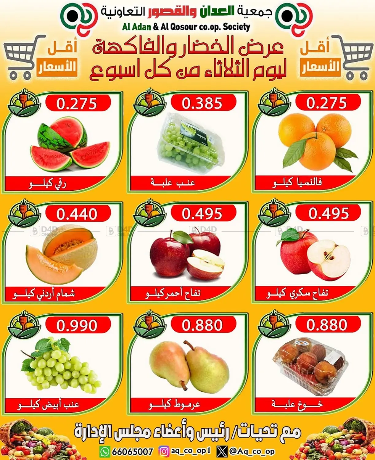 Special offer in Ahmadi Governorate