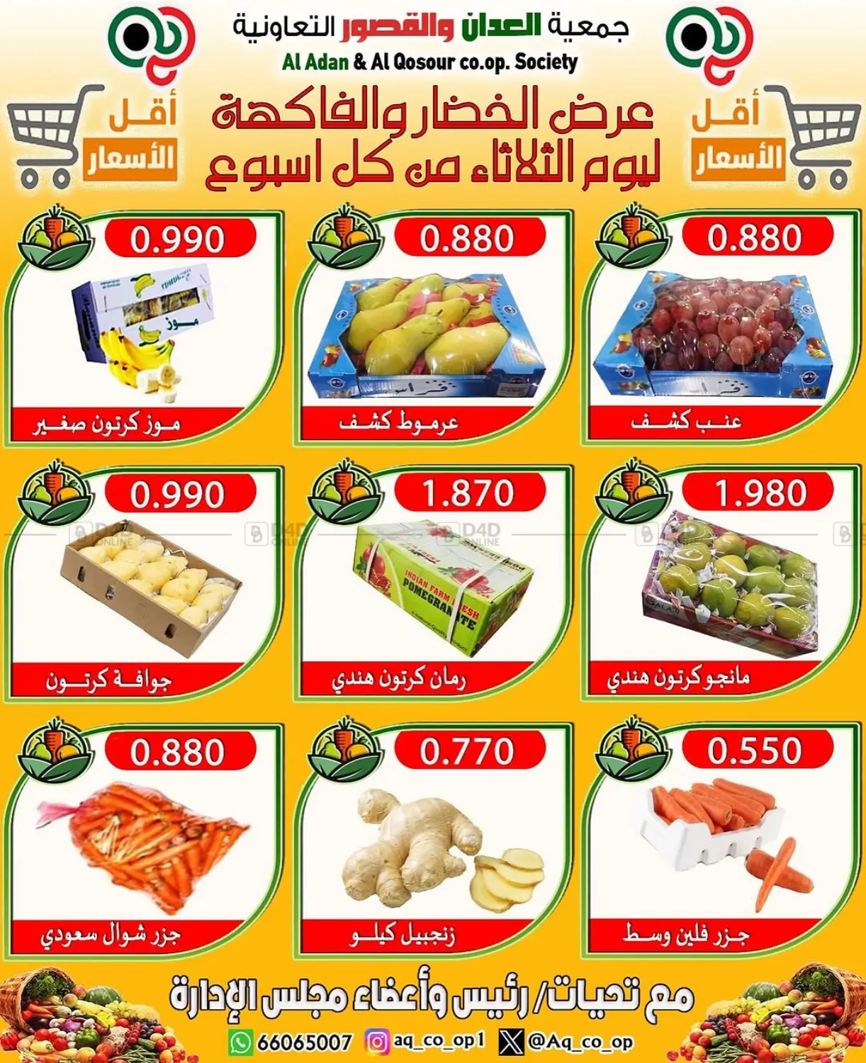 Special offer in Ahmadi Governorate