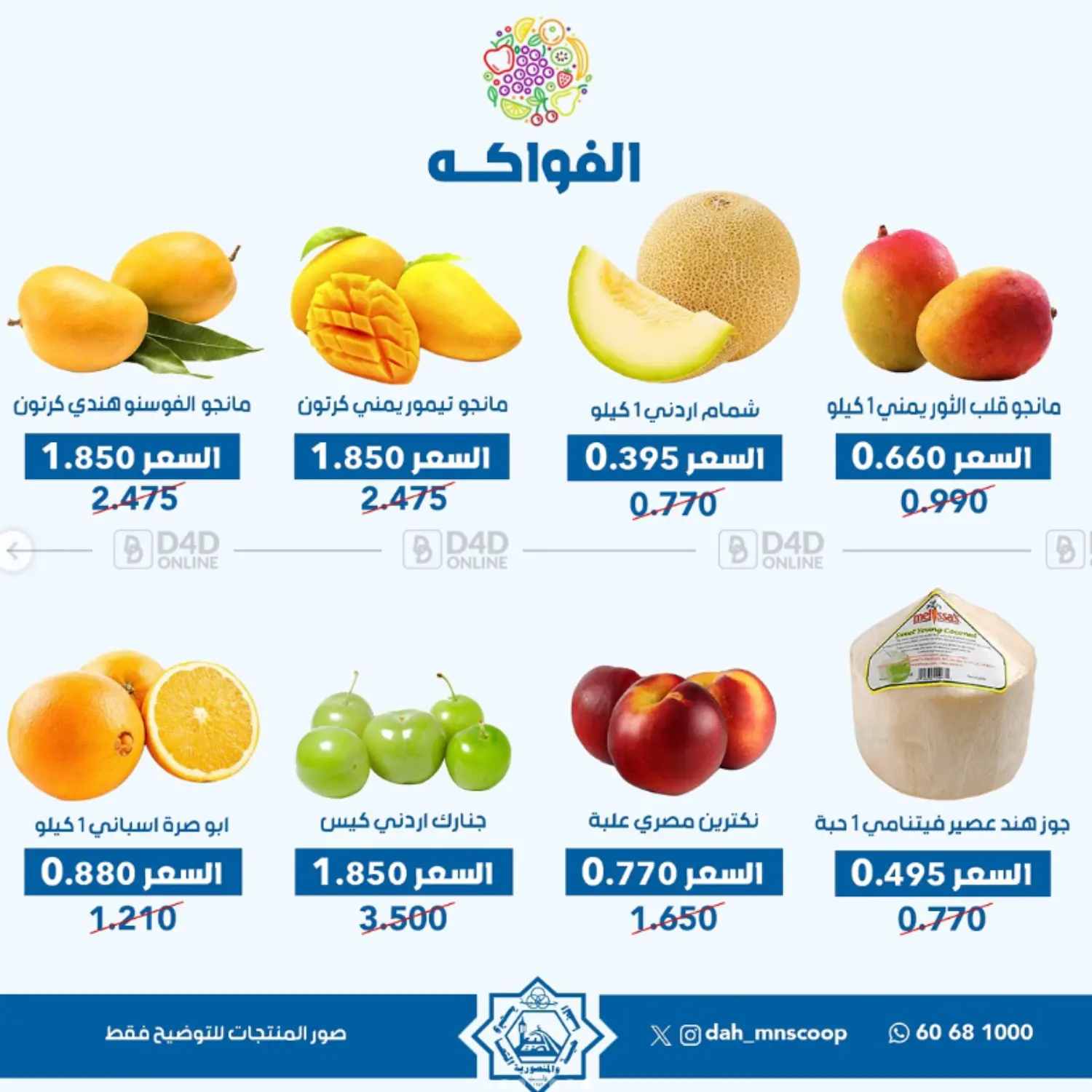 عرض الخضار والفواكه in محافظة الأحمدي