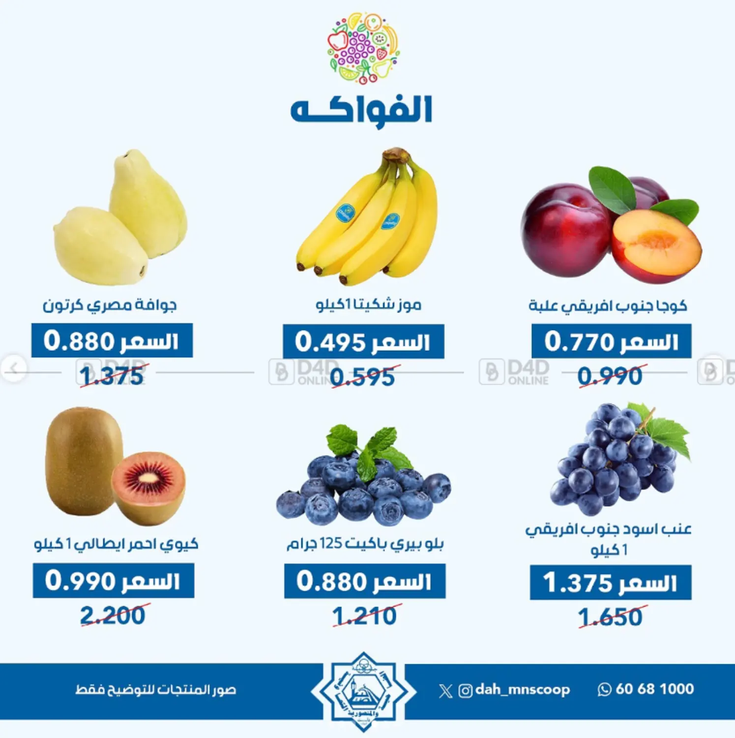 عرض الخضار والفواكه in محافظة الأحمدي