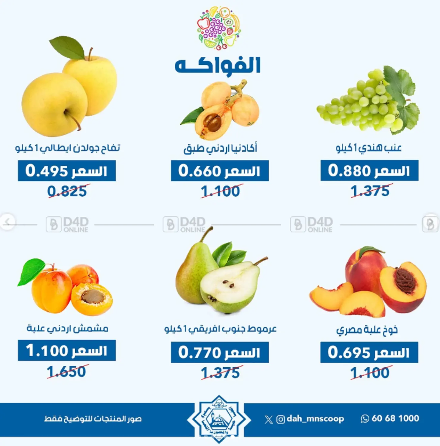 عرض الخضار والفواكه in محافظة الأحمدي