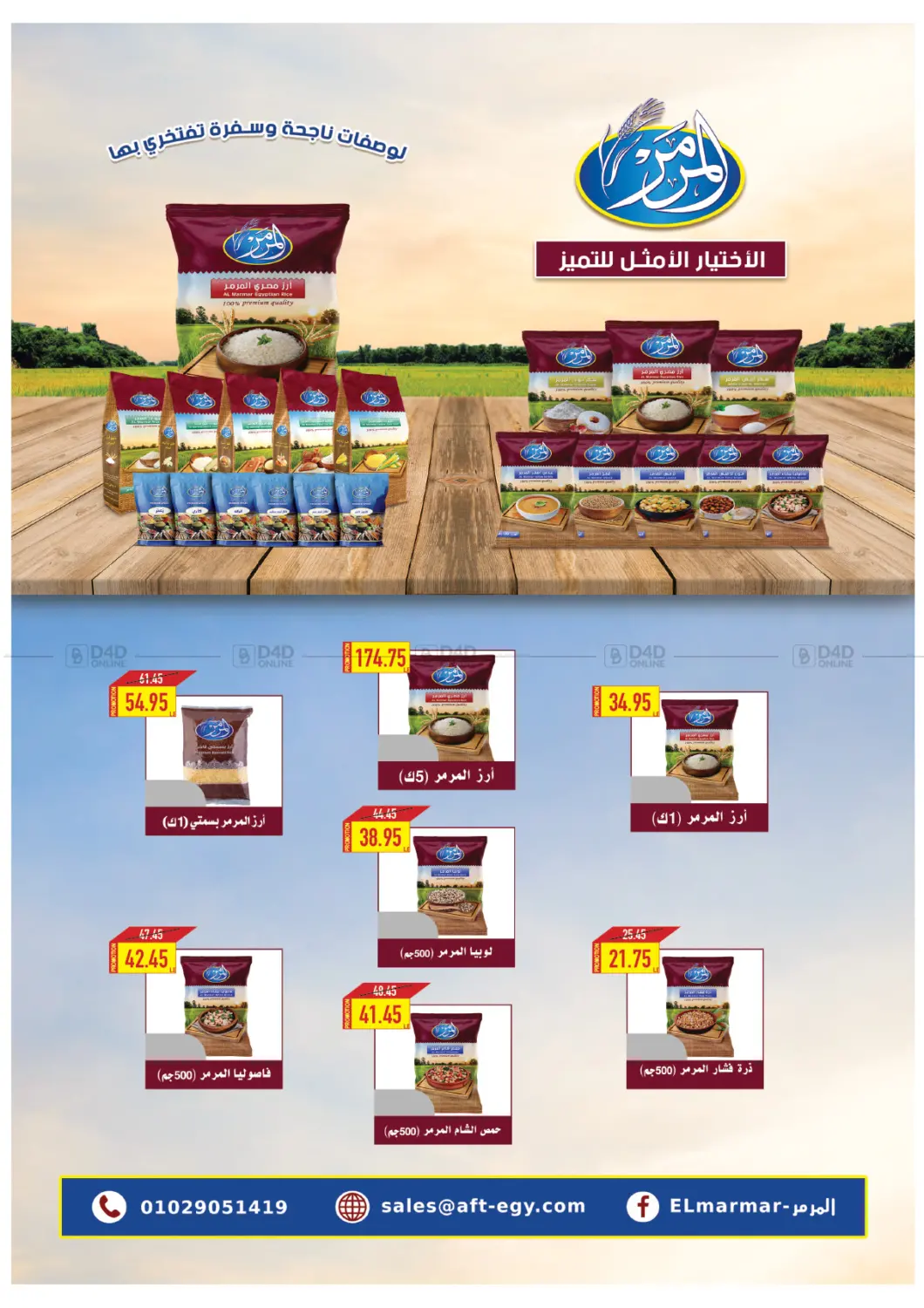 الصيف ينادي in القاهرة