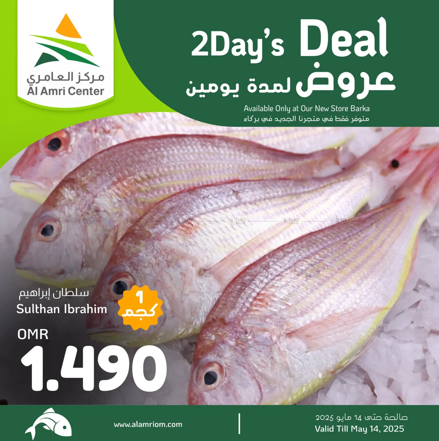 Best Price in Muscat
