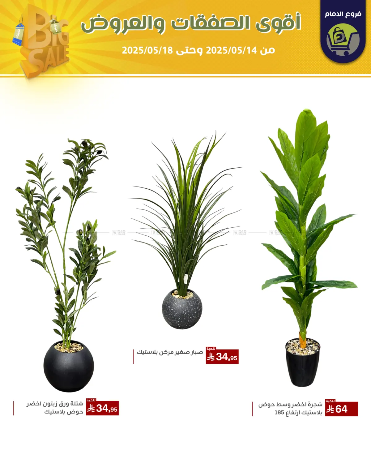 Best Offers in Riyadh