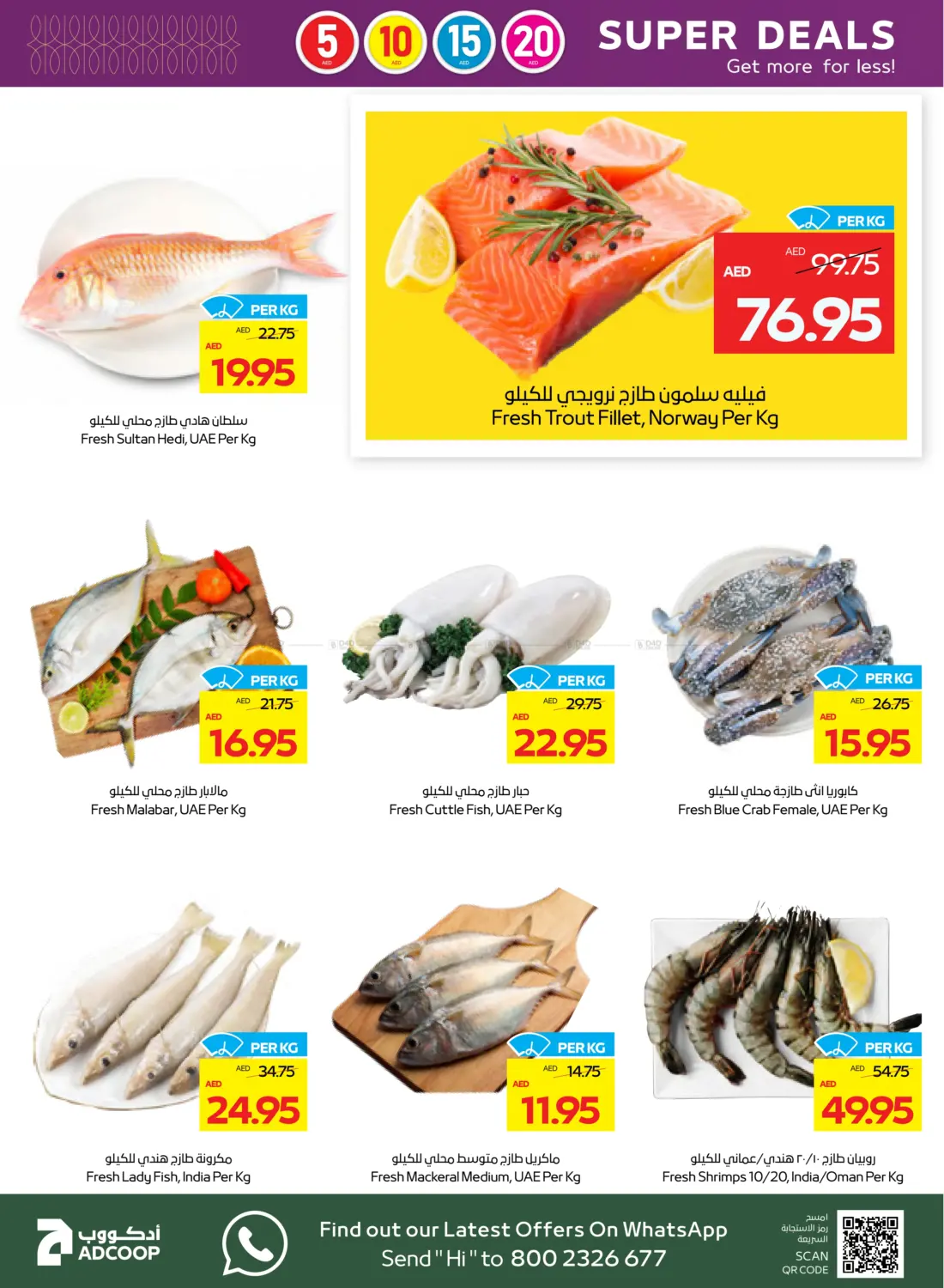 5 10 15 20 AED in Abu Dhabi