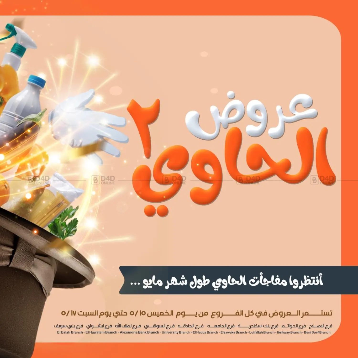 Special offer in Cairo