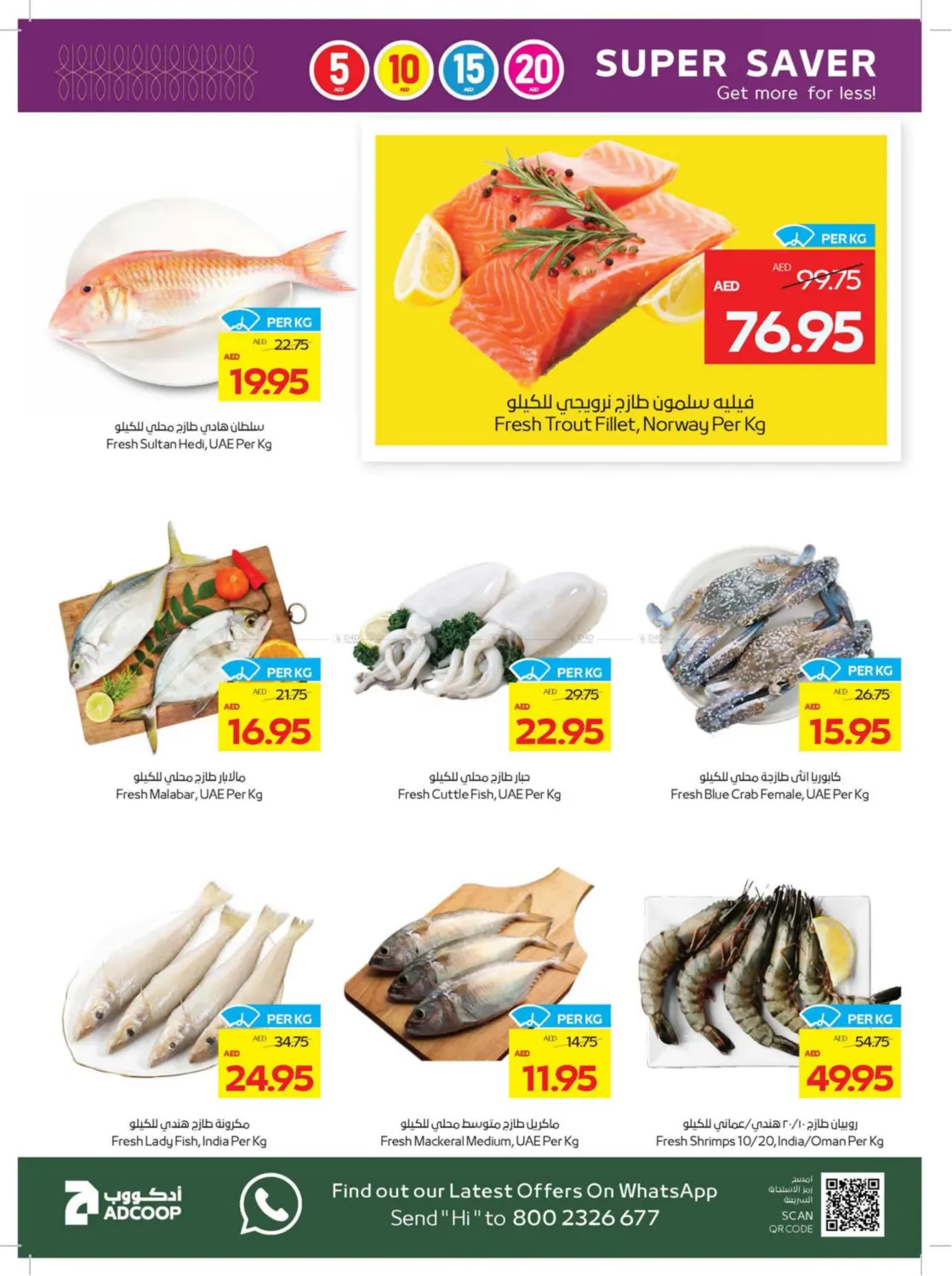 15 10 15 20 AED in Sharjah / Ajman