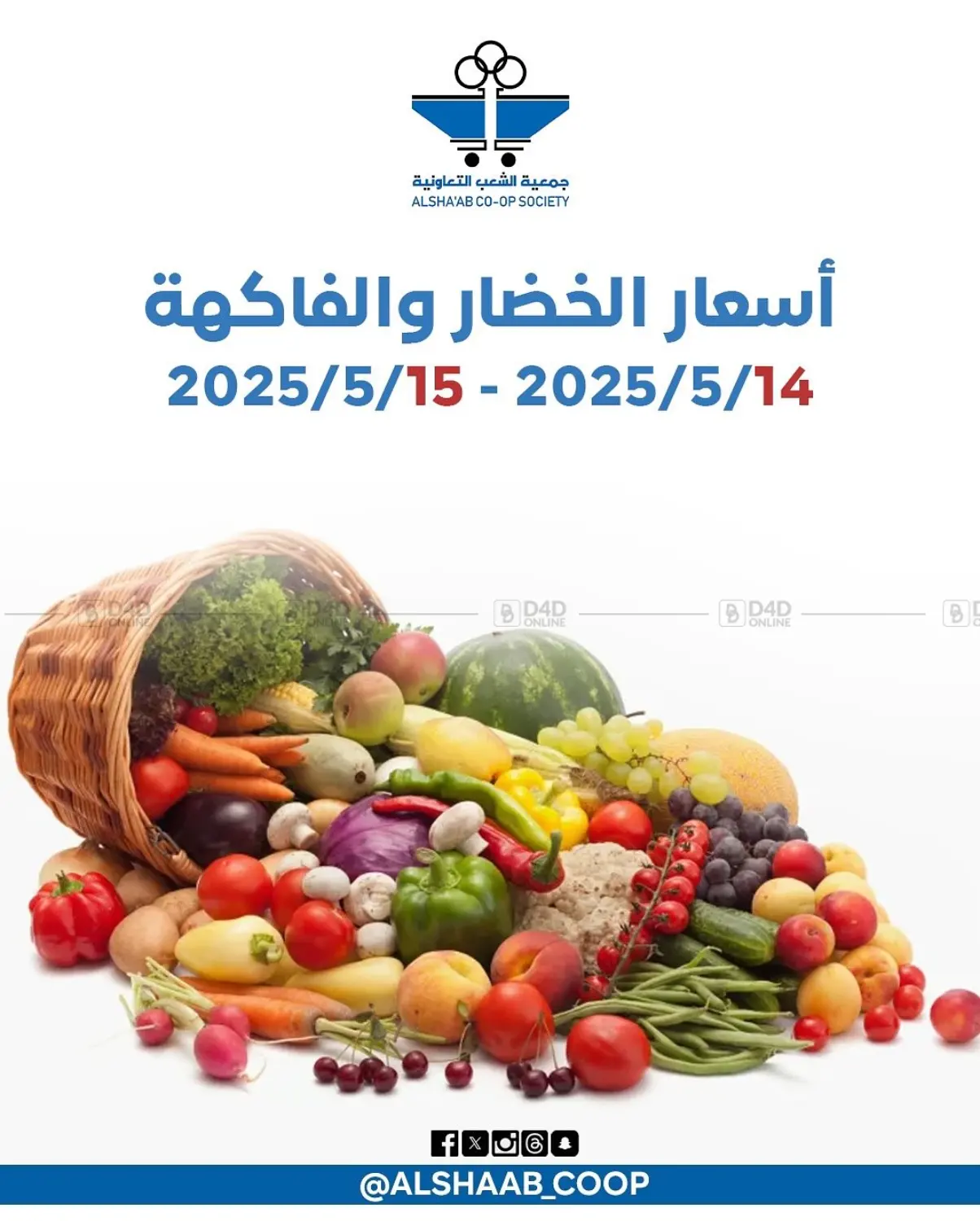 Special Offer in Kuwait City