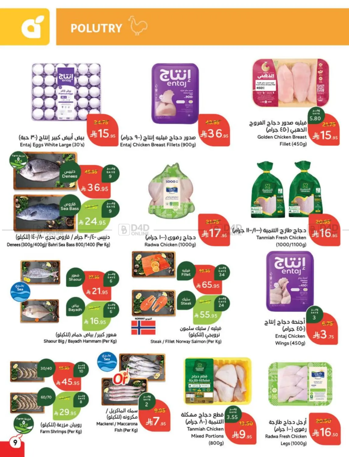Weekly Offers in Al Qunfudhah