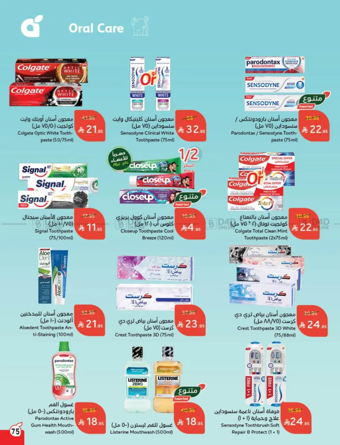 Weekly Offers in Al Qunfudhah