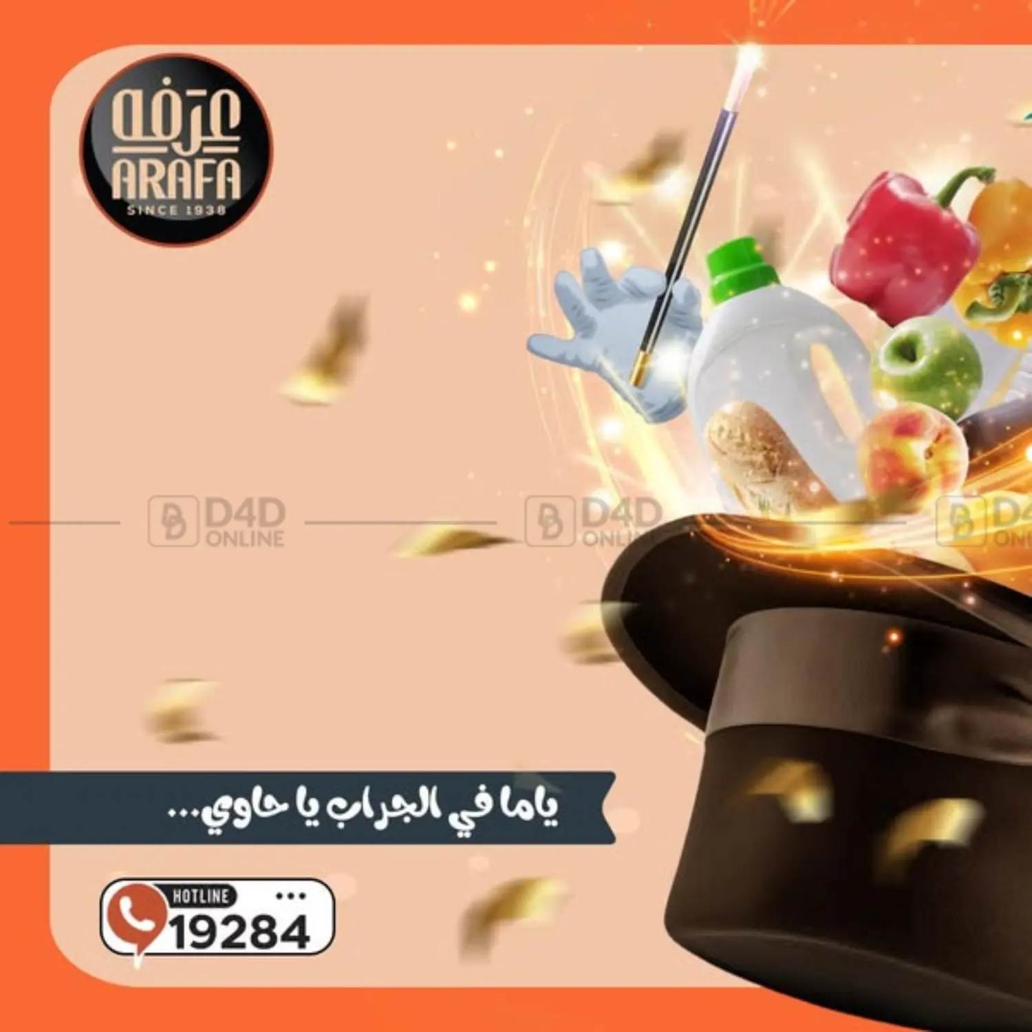 Special offer in Cairo