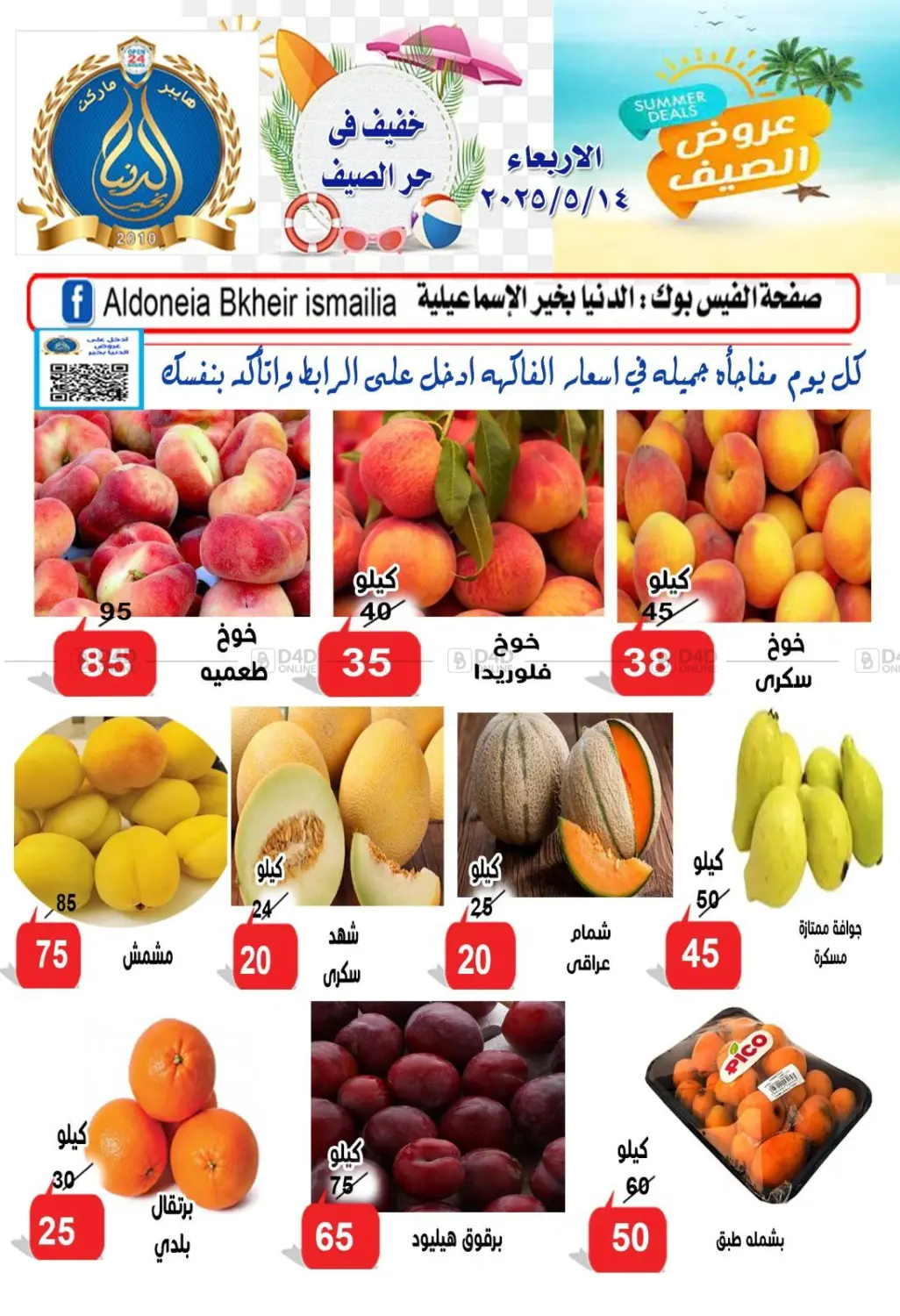 Special Offer in Cairo